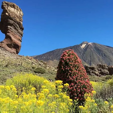 Cercado Del Medio, Con Piscina Privada 别墅